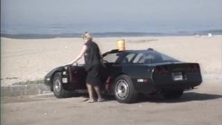 Hollywood Vice Part 1 – Teo69