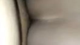 Shemale sex 1